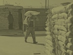 Operation Enduring Sentinel (OES)
