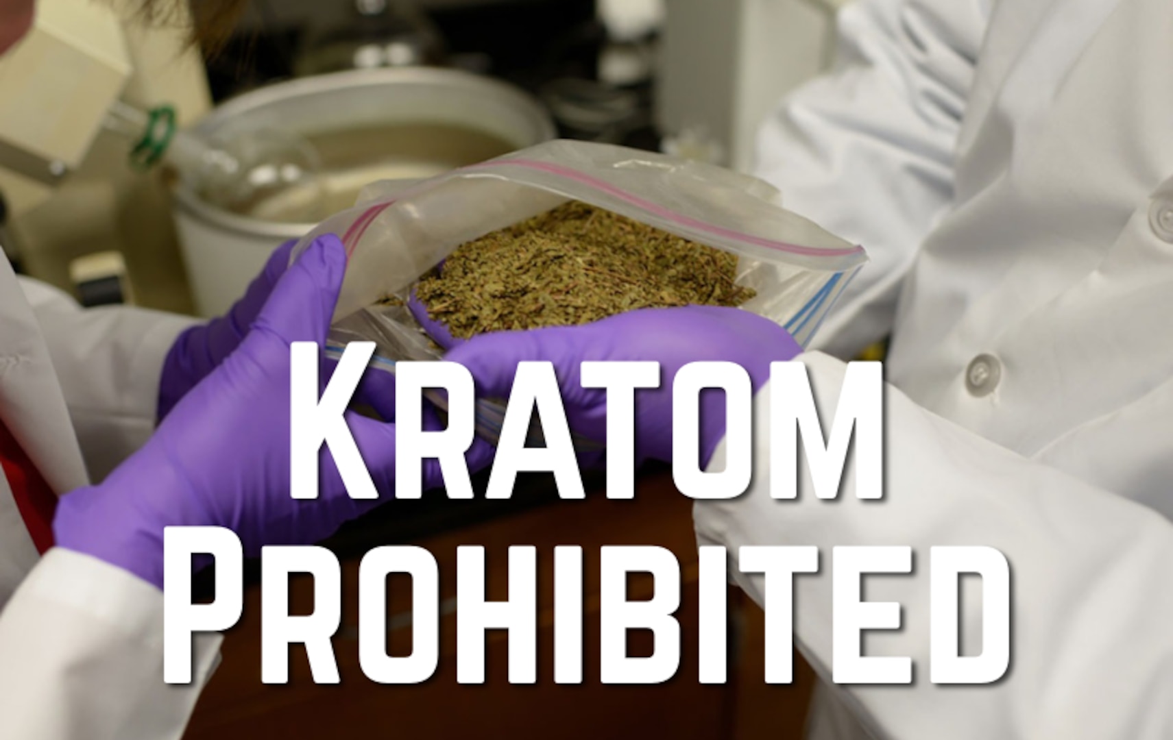 A graphic overlay of a an image of Kratom from the University of Florida College of Pharmacy.