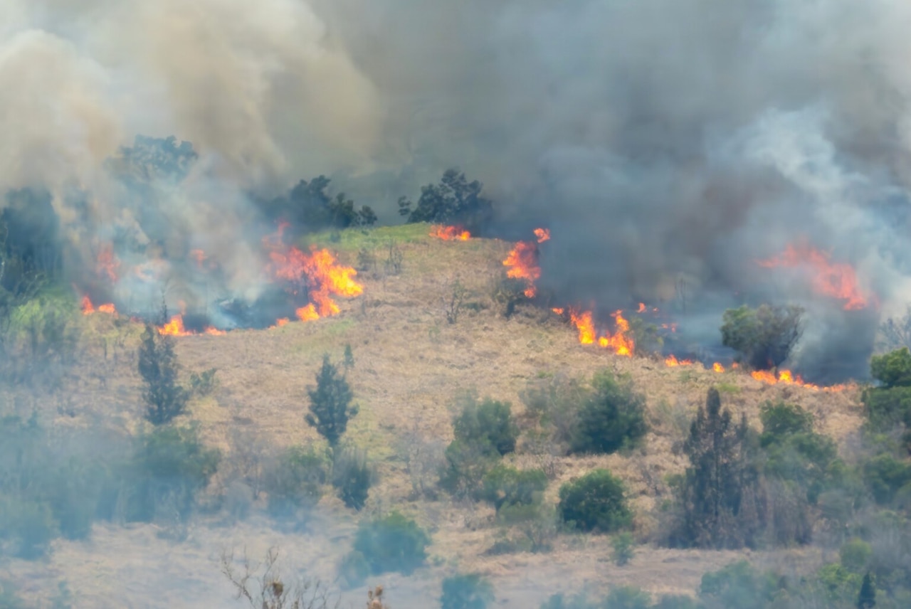 An aerial view of a forest on fire during a controlled burn.