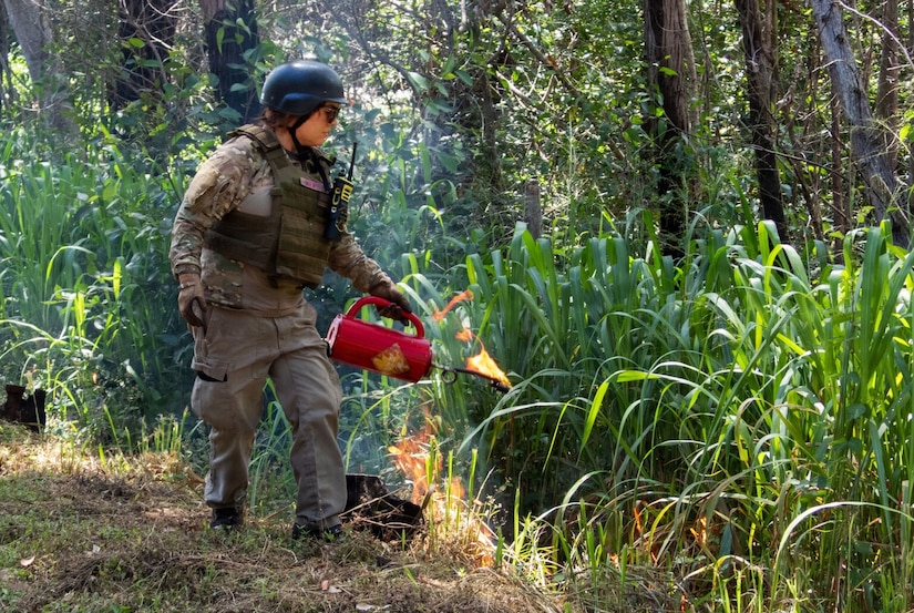 A woman in a camouflage military uniform, vest, gloves and a helmet uses a torch to light vegetation on fire during a controlled burn in a forest.
