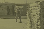 Operation Enduring Sentinel (OES)