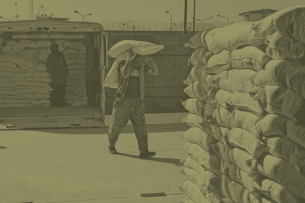 Operation Enduring Sentinel (OES)