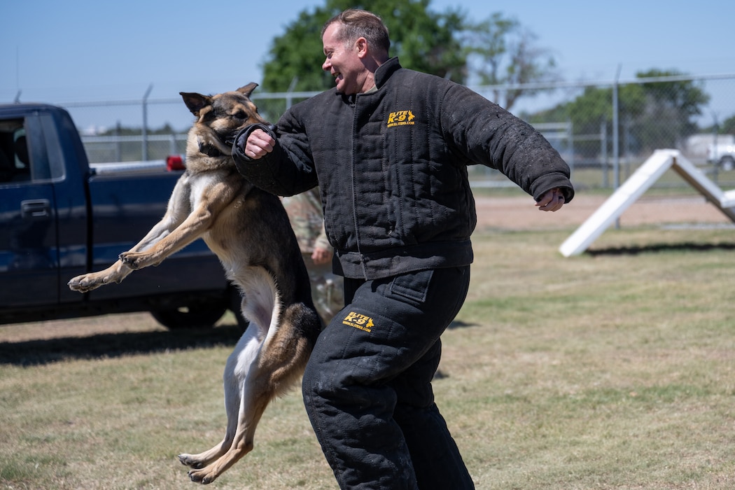 U.S. Air Force Col. Richard Kind, 97th Air Mobility Wing commander, participates in a controlled bite demonstration with Cola, a 97th Security Forces Squadron military working dog, at Altus Air Force Base, Oklahoma, May 7, 2026. Military working dog teams support installation security through patrol, detection, obedience and controlled apprehension training. (U.S. Air Force photo by Airman 1st Class Nathan Langston)