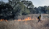 prescribed burn
