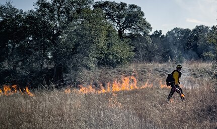 prescribed burn