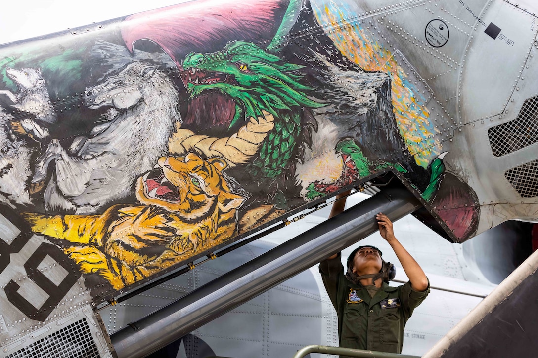 A Marine on a lift checks bolts on an aircraft covered in a colorful mural with animals.