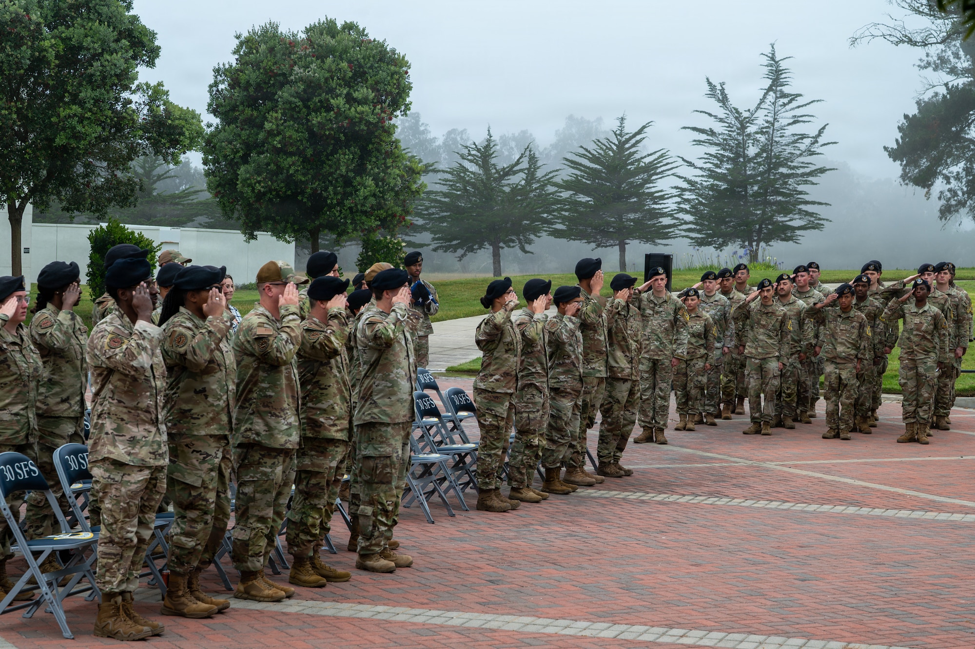 A large group of people salute standing.
