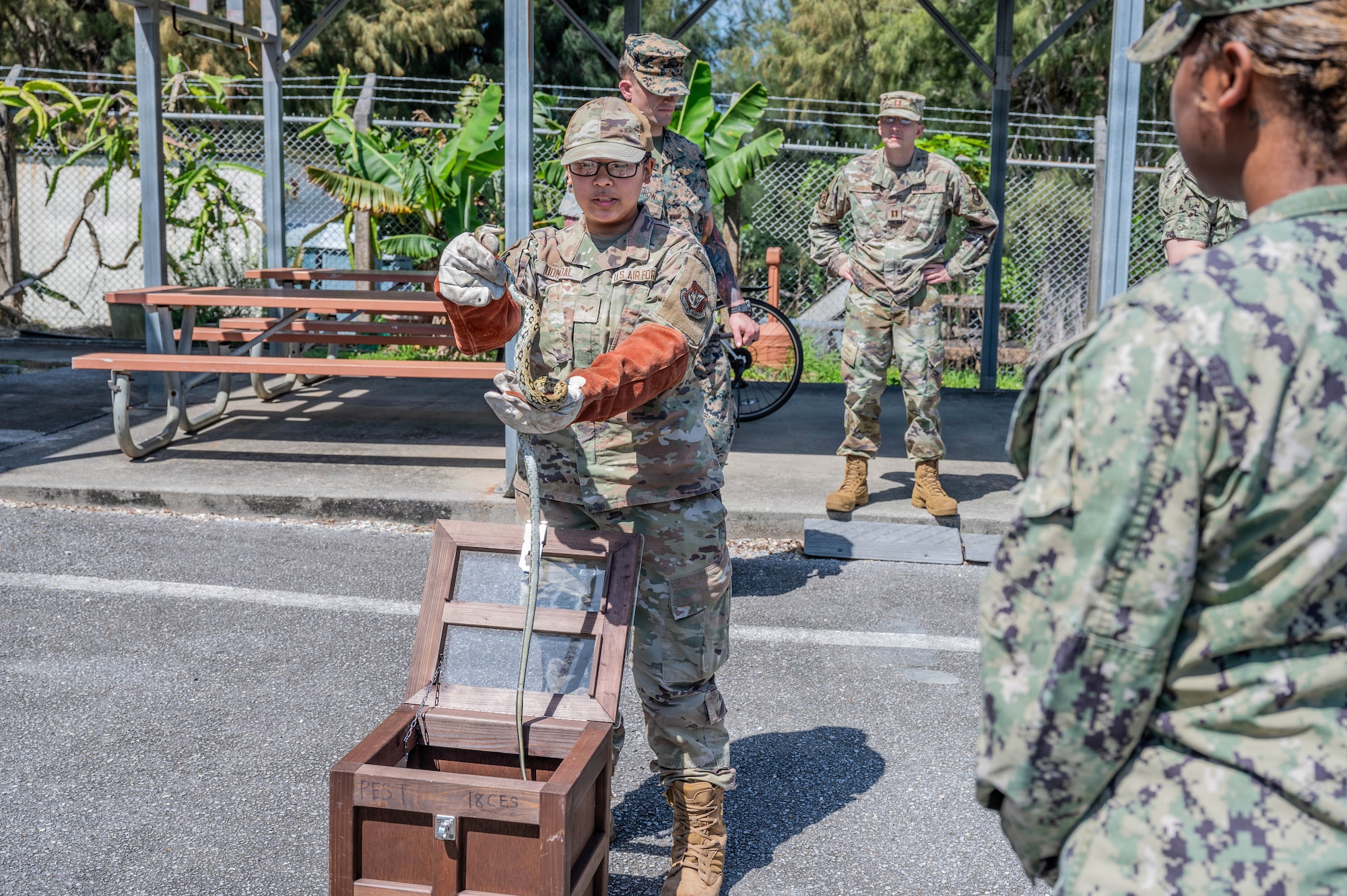 Service member handles snake.