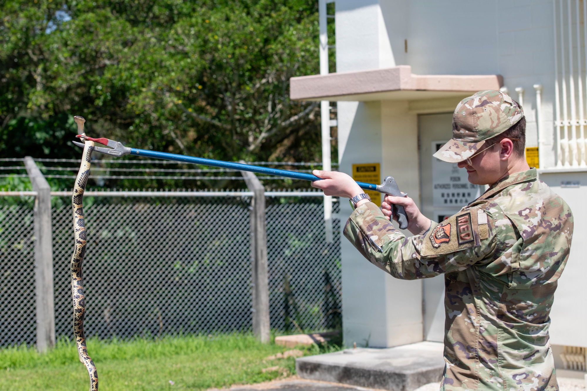 Service member handles snake.