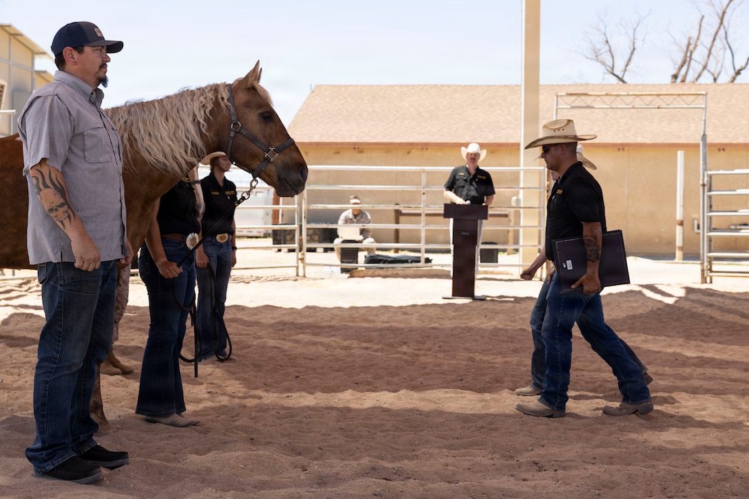 U.S. Marine Corps Mounted Color Guard horses Kitty (Marjah) and Reno (Bodfish) are honored during a retirement and adoption ceremony at Marine Corps Logistics Base Barstow, May 15, 2026. The ceremony celebrated the horses’ service as they transitioned to retirement and adoption.
