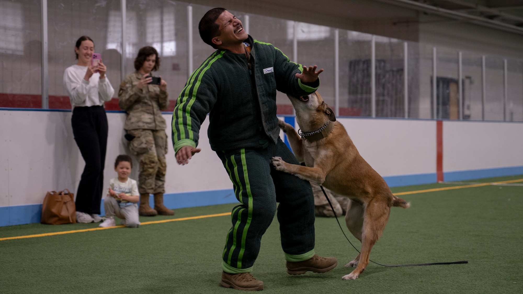 Photo of a man in bite proof suit getting bit by a military working dog