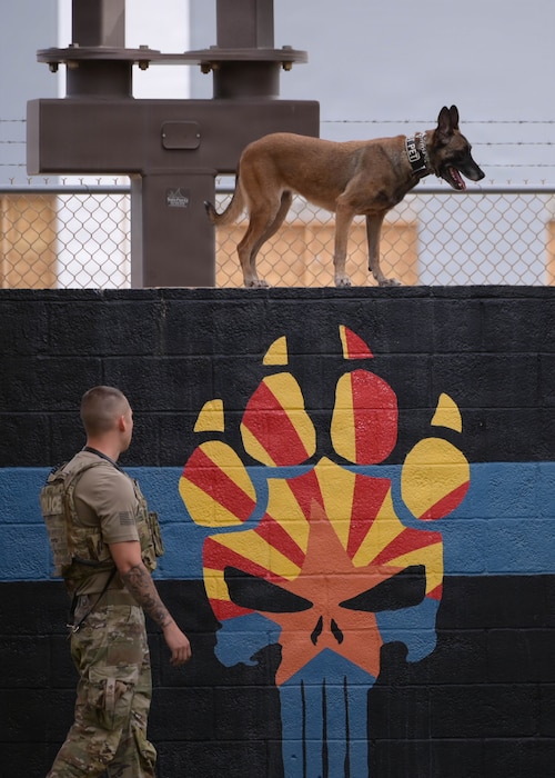 U.S. Air Force Senior Airman William Lakey, a 56th Security Forces Squadron military working dog handler, observes military working dog, KKora, navigate an obstacle during the 2026 Police Week K-9 competition held at Luke Air Force Base, Arizona, May 13, 2026. The competition highlighted the discipline, integration, and lethal partnership between military working dogs and handlers while honoring past and current law enforcement members during the National Police Week 2026 observance. (U.S. Air Force photo by Airman 1st Class Rebecca Wagner)