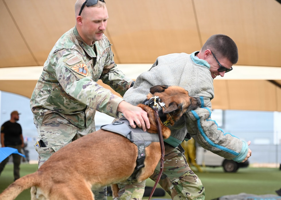 U.S. Air Force Master Sgt. Derek Urban and Staff Sgt. Russell Postmus, 56th Security Forces Squadron military working dog handlers, participate in a demonstration with military working dog, Enzo, during the 2026 Police Week K-9 competition held at Luke Air Force Base, Arizona, May 13, 2026. The competition demonstrated the discipline and control military working dogs maintain while supporting handlers in high-stress operational environments both at home station and global areas of responsibility. (U.S. Air Force photo by Airman 1st Class Rebecca Wagner)