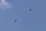 A Bumblebee V1 drone under manual control intercepts practice targets at Fort Bragg, N.C., April 23, 2026. The Bumblebee has been fielded as an autonomous ground-to-air and now air-to-air interceptor designed to make contact with and incapacitate enemy drones.