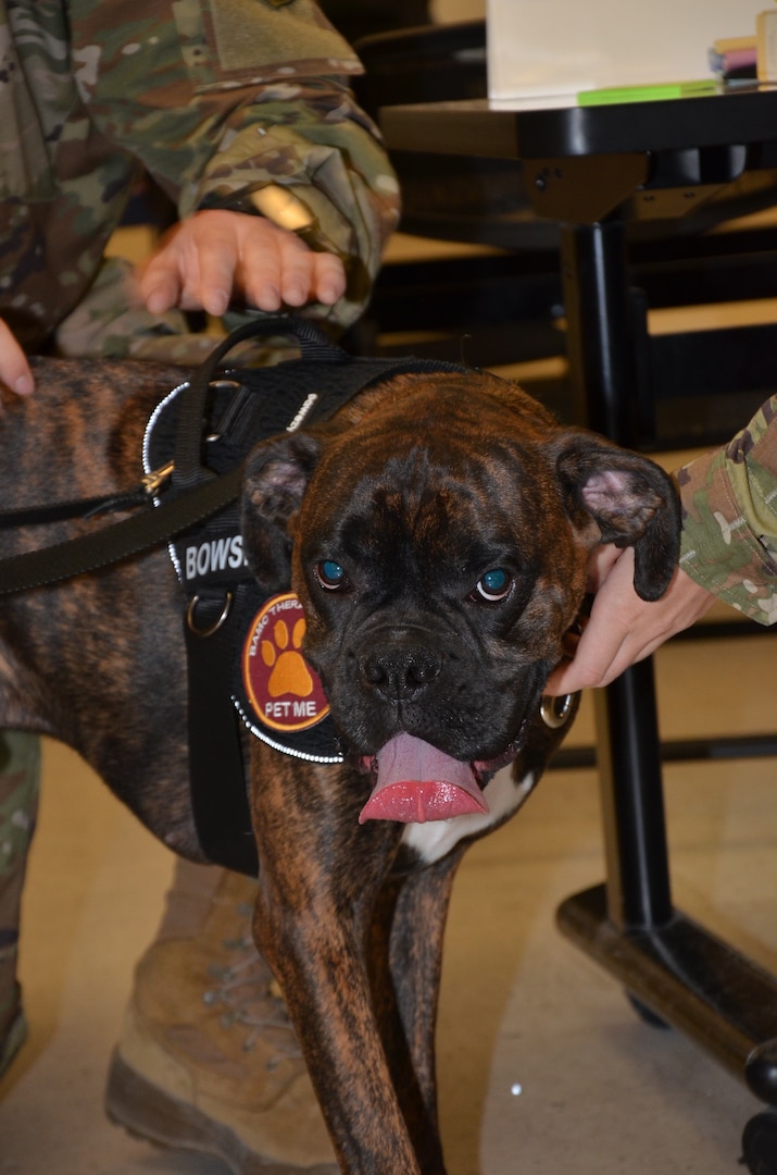 In recognition of Nurse Tech Week, Bowser the Therapy Dog visits students and staff in the Medical Education and Training Campus Air Force Aerospace Medical Service Apprentice course May 8.