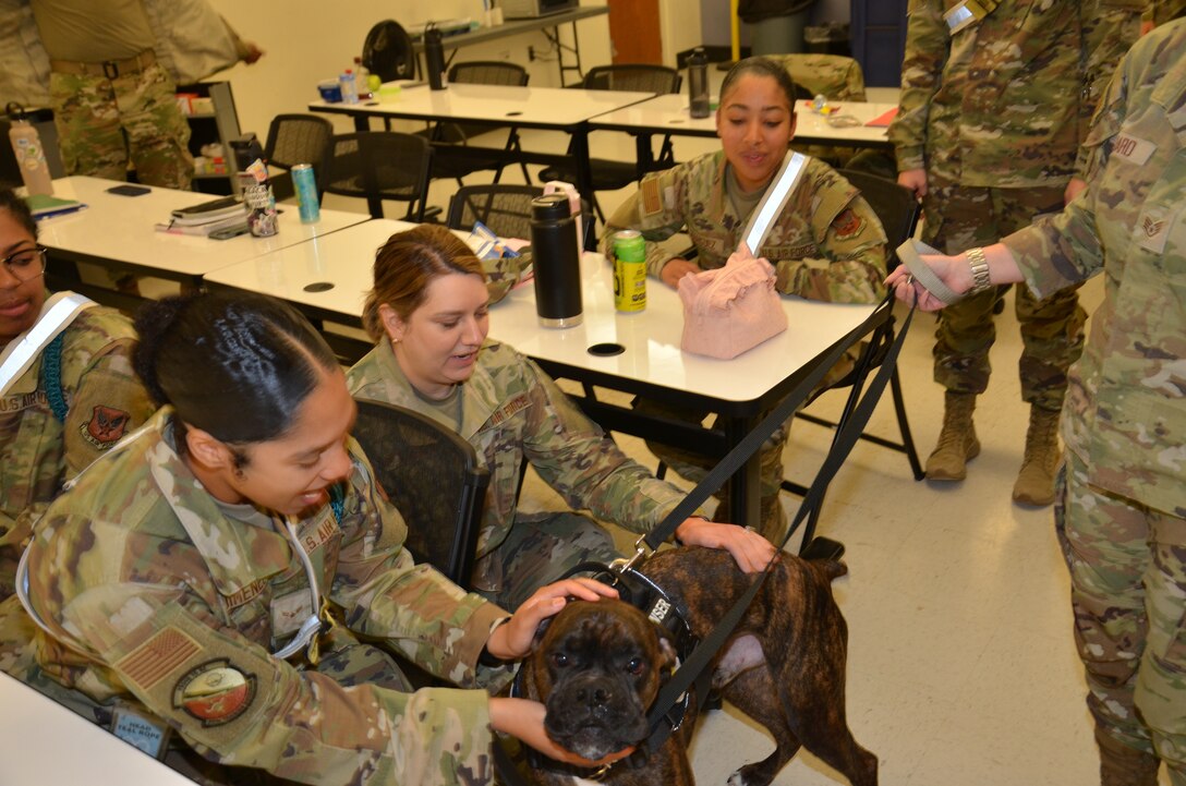 In recognition of Nurse Tech Week, Bowser the Therapy Dog visits students and staff in the Medical Education and Training Campus Air Force Aerospace Medical Service Apprentice course May 8.