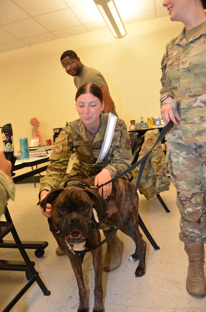 In recognition of Nurse Tech Week, Bowser the Therapy Dog visits students and staff in the Medical Education and Training Campus Air Force Aerospace Medical Service Apprentice course May 8.