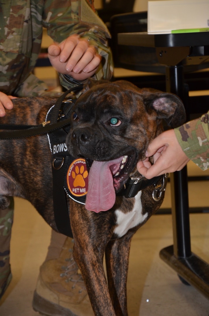In recognition of Nurse Tech Week, Bowser the Therapy Dog visits students and staff in the Medical Education and Training Campus Air Force Aerospace Medical Service Apprentice course May 8.