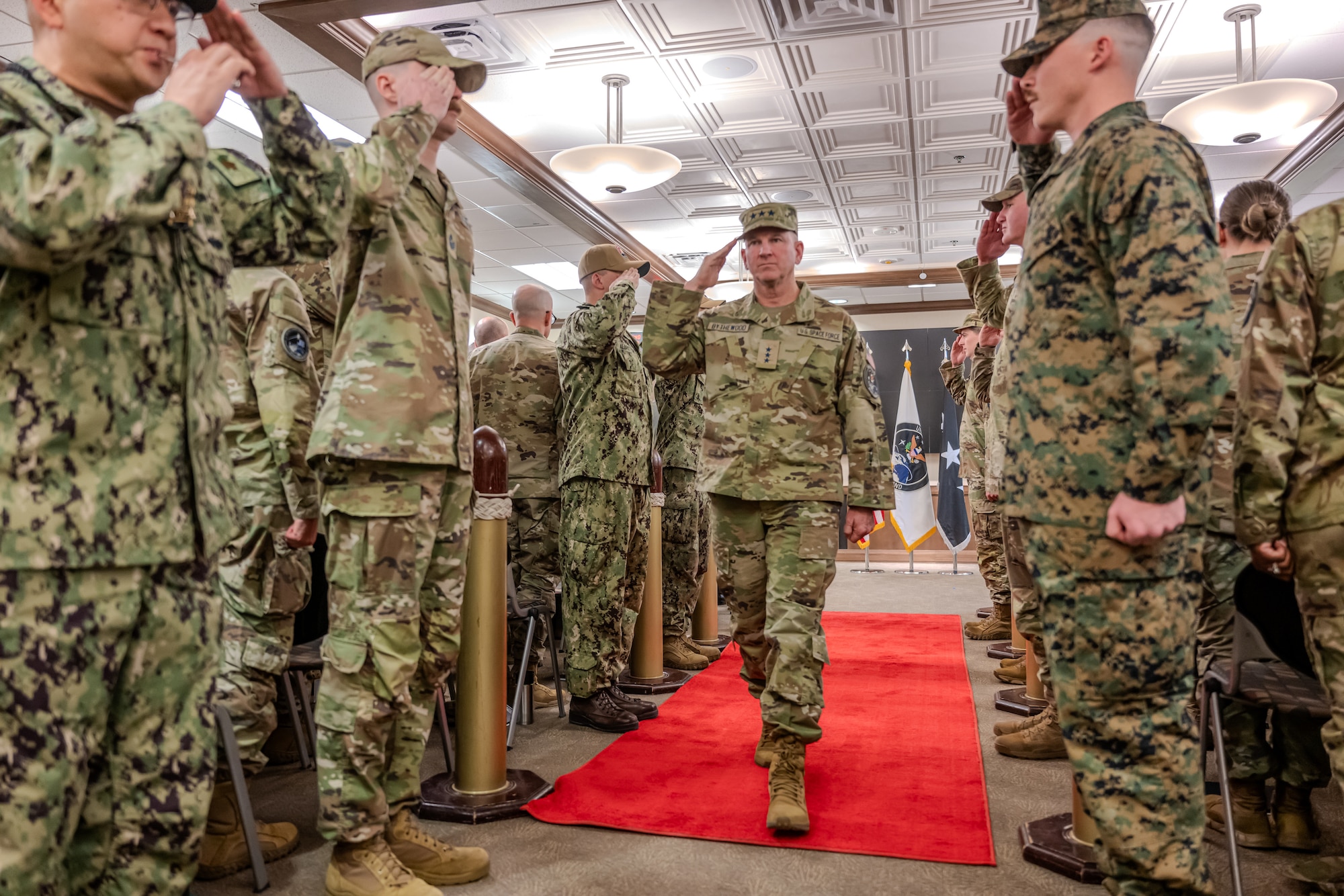 A camouflage uniformed man walks down a red carpet, returning the salute of other uniformed members lined up alongside the pathway