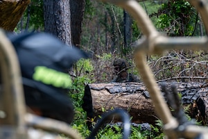 A military member in a bushes.