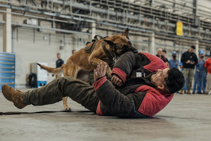 Photo by Cpl. Sarah Grawcock