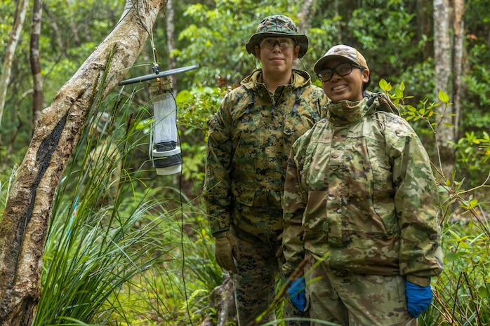 U.S. Navy Hospital Corpsman 2nd Class Alicia Hernandez, left, with 3rd Medical Battalion, 3rd Marine Logistics Group, and U.S. Air Force Airman 1st Class Emerald Domaoal, a pest management technician with the 18th Civil Engineer Squadron, 18th Wing, pose for a photo after setting up a Center of Disease Control mini light trap during a joint preventive medicine training at Jungle Warfare Training Center, Camp Gonsalves, Okinawa, Japan, May 5, 2026. The training enhances proficiency in preventive medicine techniques such as pest management, insect identification, sanitation, water testing, and disease mitigation improving participants’ exposure to the tools and responsibilities tied to their MOS, while reinforcing their role in protecting the warfighter. Hernandez is a native of Texas and Domaoal is a native of Guam. (U.S. Marine Corps photo by Cpl. Jonathan Rodriguez Pastrana)
