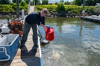 Amberleigh Ray, 11th Civil Engineer Squadron, environmental team member, pours out water from the mussel tank in preparation for a freshwater mussel deployment event at Joint Base Anacostia-Bolling, Washington, D.C., May 15, 2026. The deployment process for the mussel nursery began with draining water from the cooler containing the mussels, followed by counting, measuring, organizing and releasing the mussels into the Potomac River. (U.S. Air Force photo by Senior Airman Shanel Toussaint)