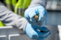 Michael Hooks, 11th Civil Engineer Squadron environmental team, holds a tagged mussel during a freshwater mussel deployment event at Joint Base Anacostia-Bolling, Washington, D.C., May 15, 2026. Each mussel was assigned unique tracking IDs to maintain longitudinal data integrity. (U.S. Air Force photo by Senior Airman Shanel Toussaint)