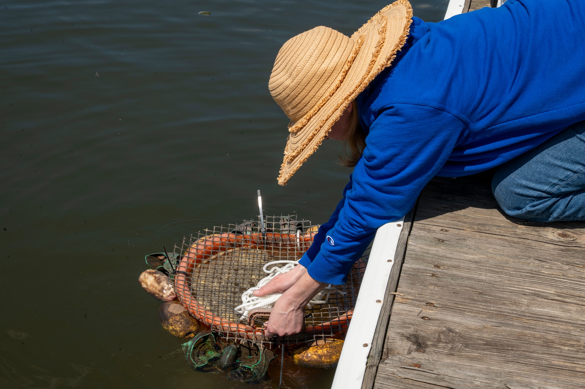 Jennifer McDonnell, 11th Civil Engineer Squadron environmental team chief, releases a basket of mussels during a freshwater mussel deployment event at Joint Base Anacostia-Bolling, Washington, D.C., May 15, 2026. Freshwater mussels serve as natural biological filtration systems; a single mussel can filter gallons of water daily, removing algae, bacteria, and particulates from the water column. (U.S. Air Force photo by Senior Airman Shanel Toussaint)