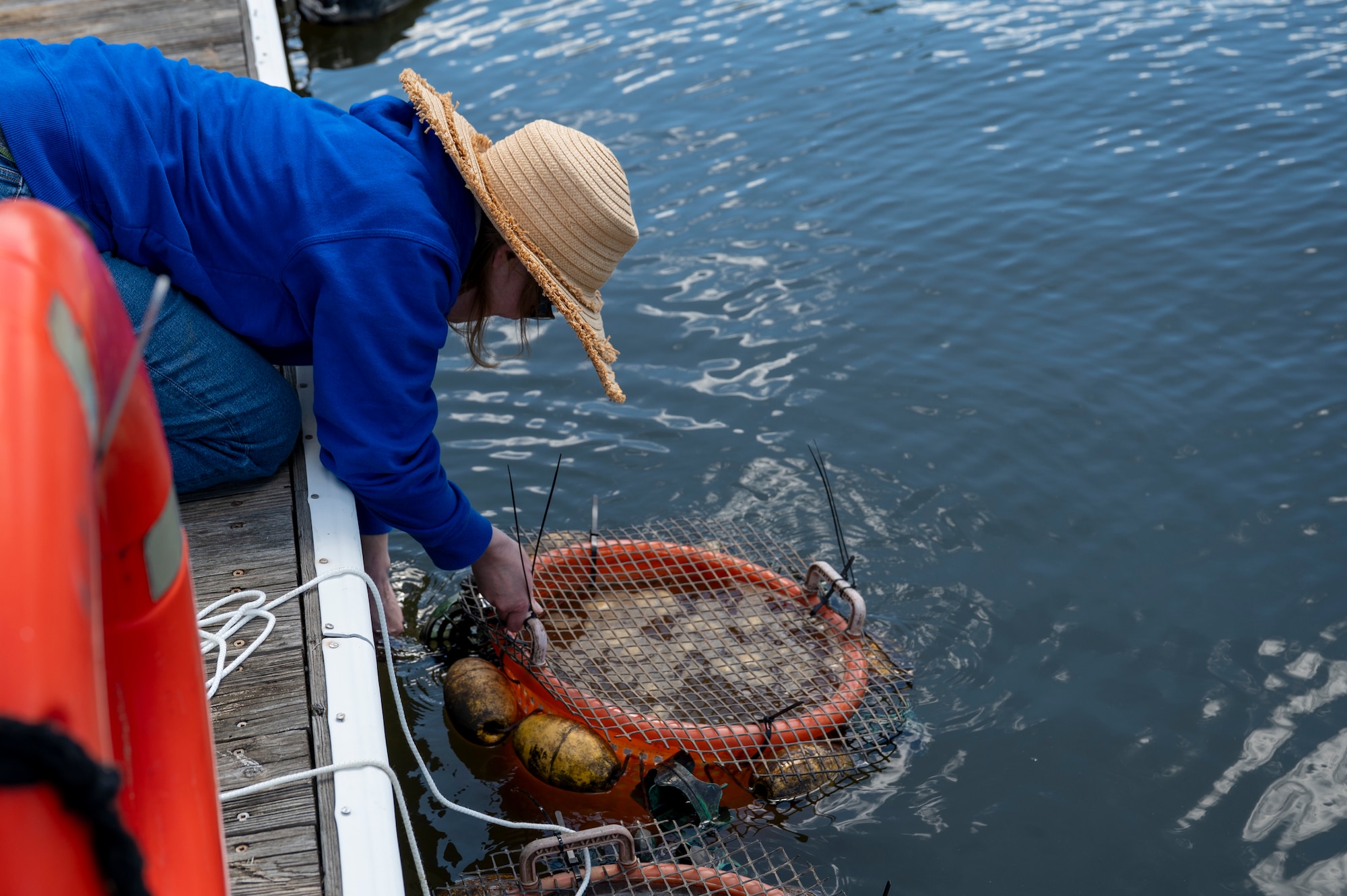 Jennifer McDonnell, 11th Civil Engineer Squadron environmental team chief, releases a basket of mussels during a freshwater mussel deployment event at Joint Base Anacostia-Bolling, Washington, D.C., May 15, 2026. Freshwater mussels serve as natural biological filtration systems; a single mussel can filter gallons of water daily, removing algae, bacteria, and particulates from the water column. (U.S. Air Force photo by Senior Airman Shanel Toussaint)