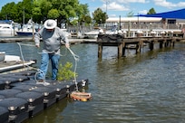 Ryan Soens, 11th Civil Engineer Squadron environmental element chief, ties buckets of mussels to the docks of the marina during a freshwater mussel deployment event at Joint Base Anacostia-Bolling, Washington, D.C., May 15, 2026. The mussel nursery program is a fundamental component of the 11th CES strategy to restore the Potomac River watershed, and represents a multi-year commitment to environmental excellence within the National Capital Region. (U.S. Air Force photo by Senior Airman Shanel Toussaint)
