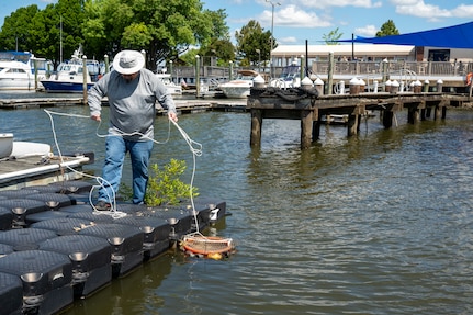 Ryan Soens, 11th Civil Engineer Squadron environmental element chief, ties buckets of mussels to the docks of the marina during a freshwater mussel deployment event at Joint Base Anacostia-Bolling, Washington, D.C., May 15, 2026. The mussel nursery program is a fundamental component of the 11th CES strategy to restore the Potomac River watershed, and represents a multi-year commitment to environmental excellence within the National Capital Region. (U.S. Air Force photo by Senior Airman Shanel Toussaint)