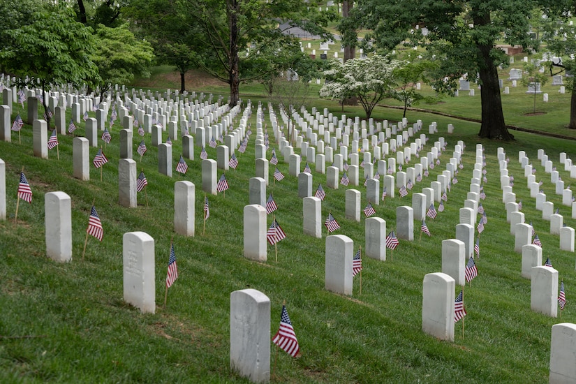 White grave markers in a grassy field have American flags in the ground next to them during daytime.