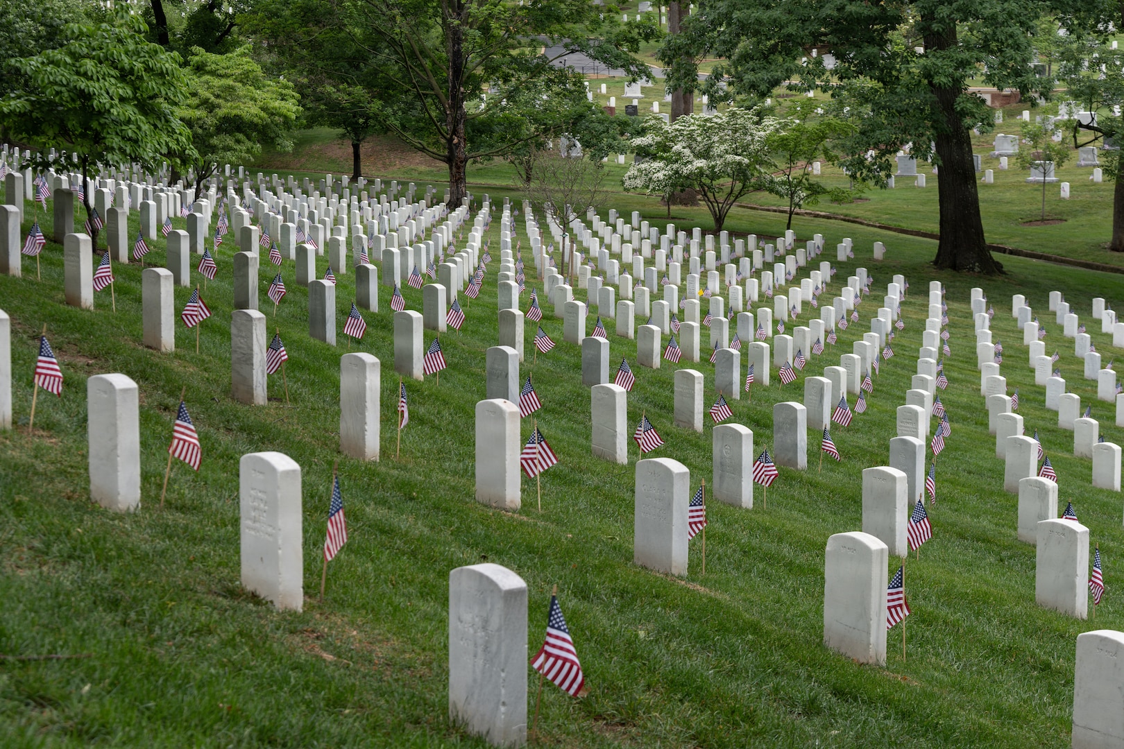 White grave markers in a grassy field have American flags in the ground next to them during daytime.