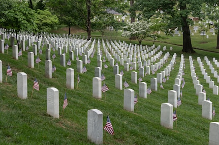 White grave markers in a grassy field have American flags in the ground next to them during daytime.