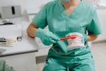 A dentist demonstrates toothbrush technique on a dental model.