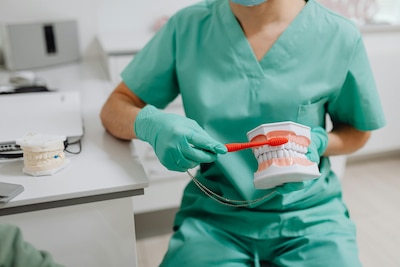 A dentist demonstrates toothbrush technique on a dental model.