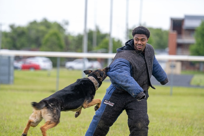 Cincinnati Bengals Rookie Ceyair Wright goes through a Military Working Dog scenario with MDW Lux May. 15, 2026 at Wright-Patterson Air Force Base, Ohio. Several rookies took the opportunity to experience what a real world interaction with one of the MDWs would be like. (U.S. Air Force photo by Jack Gardner)