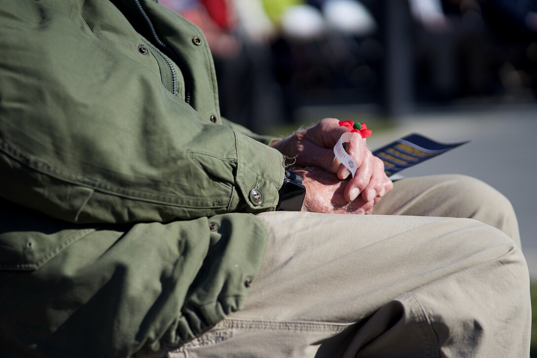 Veteran in military clothing holding a red poppy.