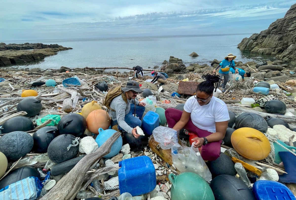 Volunteers clean up a beach.