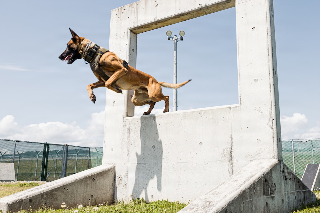 USMC