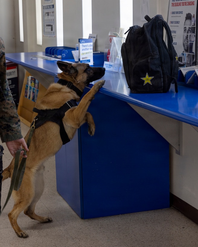 USMC