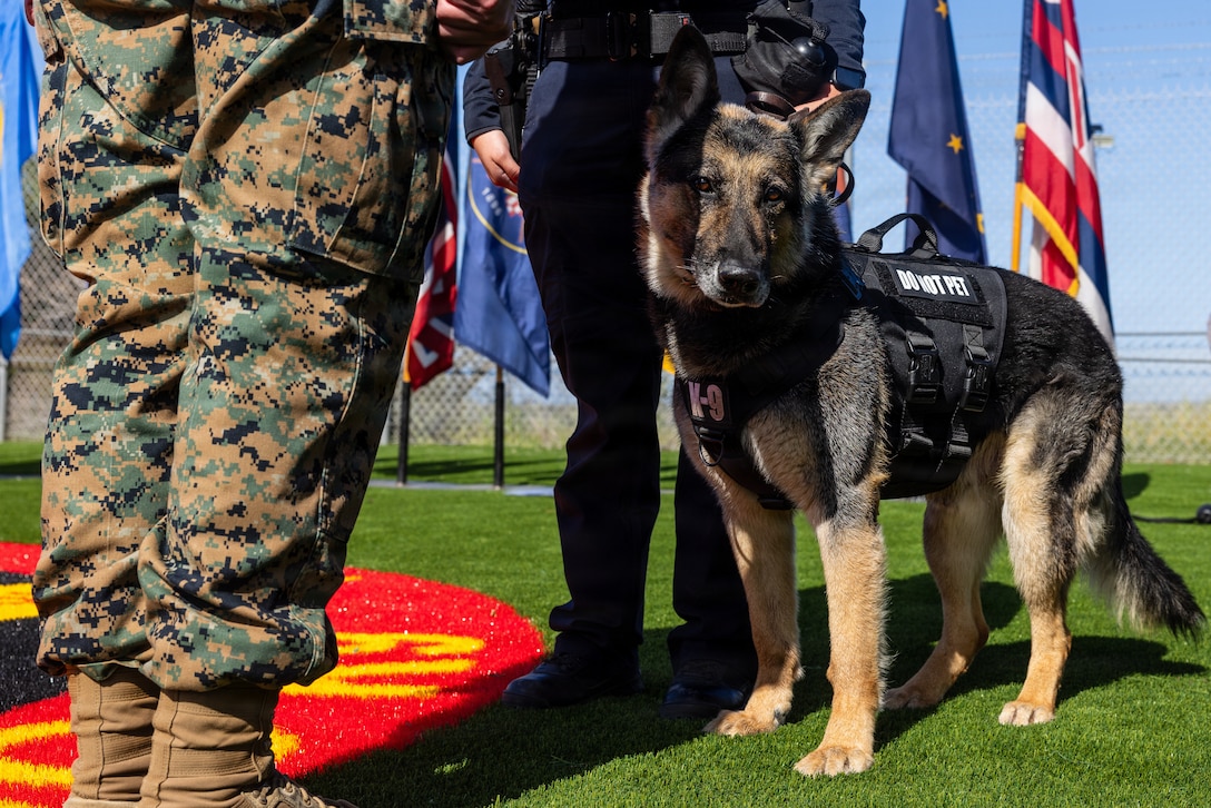 Britt, a military working dog with the Provost Marshal Office, Marine Corps Base Camp Pendleton, receives a certificate of retirement during his retirement ceremony at MCB Camp Pendleton, Calif., March 9, 2026. Britt, the final active-duty military working dog assigned to I MEF, was recognized for his service in support of force protection and law enforcement operations and for his role in the legacy of the I MEF K-9 program. (U.S. Marine Corps photo by Cpl. Noah Martinez)