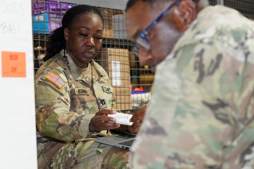 Army Reserve Medical Command, Theater Lead Agent for Medical Materiel medical logistical relationship crucial for success