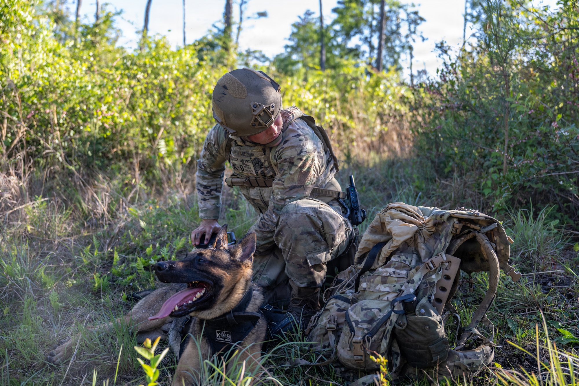 A U.S. Air Force military working dog assigned to the 820th Base Defense Group search for simulated isolated personnel during a survival, evasion, resistance and escape (SERE) training exercise at Moody Air Force Base.