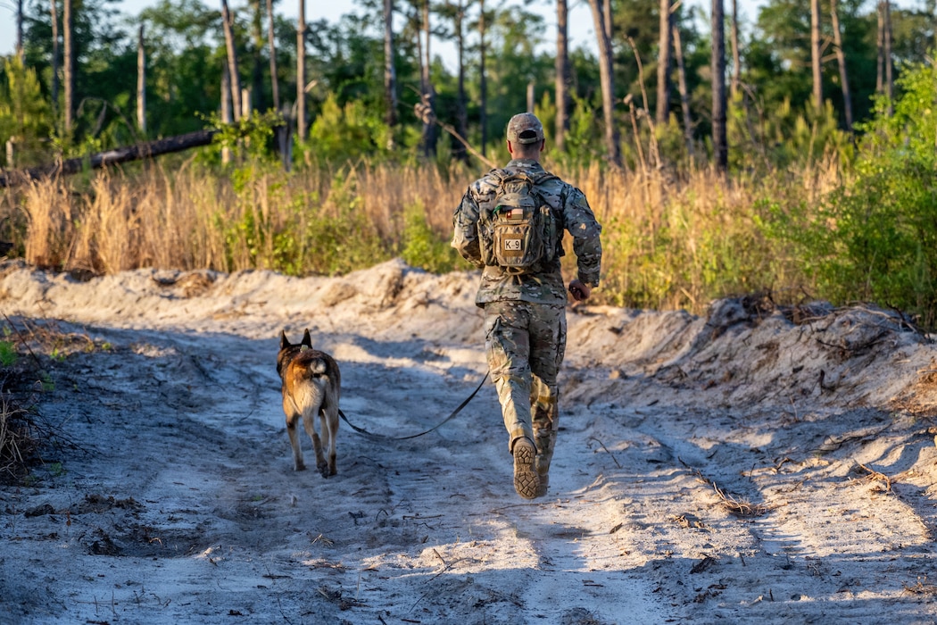 A U.S. Air Force military working dog assigned to the 820th Base Defense Group search for simulated isolated personnel during a survival, evasion, resistance and escape (SERE) training exercise at Moody Air Force Base.