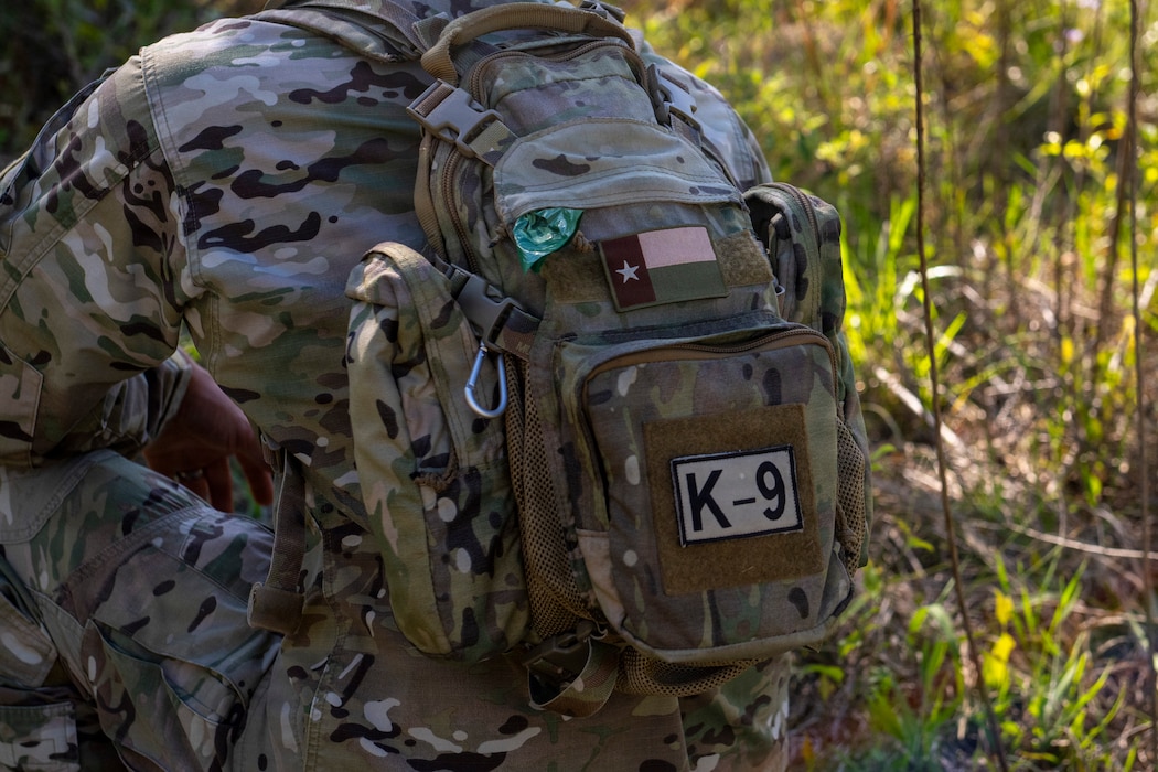 A U.S. Air Force military working dog assigned to the 820th Base Defense Group search for simulated isolated personnel during a survival, evasion, resistance and escape (SERE) training exercise at Moody Air Force Base.