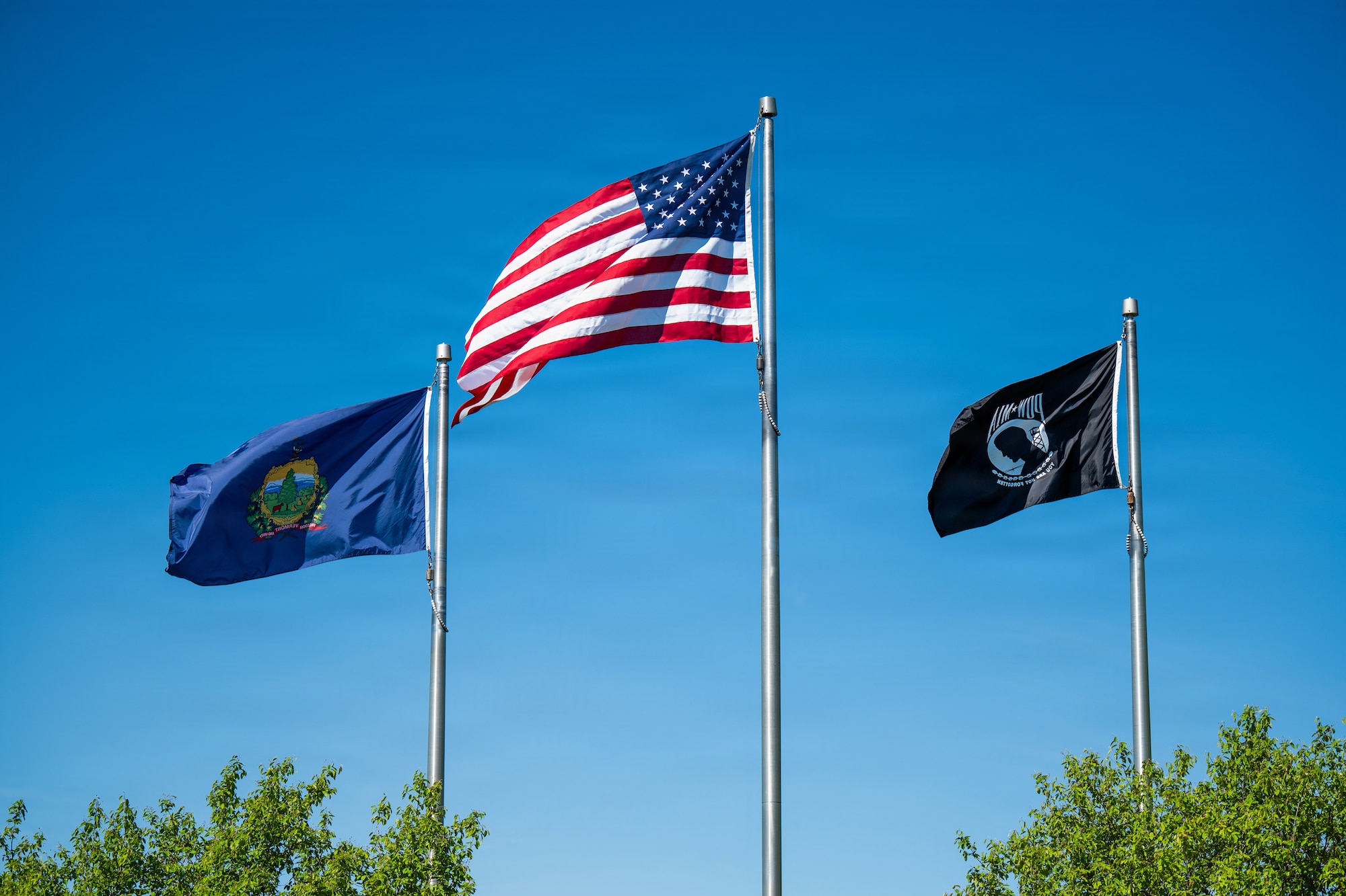 Photo of Flags blowing in the wind during a memorial day ceremony in South Burlington Vt., May 22, 2026.
