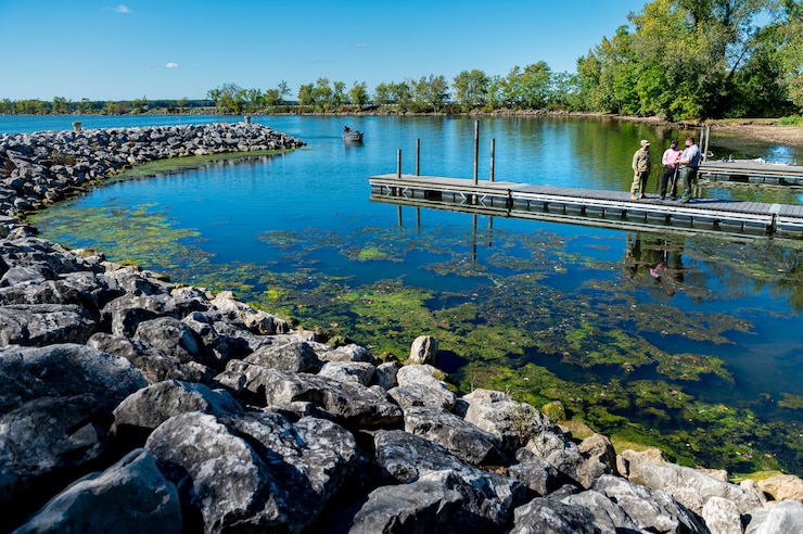 Photo of Mosquito Lake with vegetation growing that is visible at the top of the water.