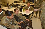 In recognition of Nurse Tech Week, Bowser the Therapy Dog visits students and staff in the Medical Education and Training Campus Air Force Aerospace Medical Service Apprentice course May 8.